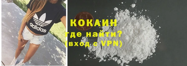 гидра Алексин