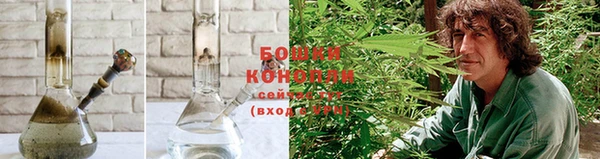 PSILOCYBIN Саяногорск