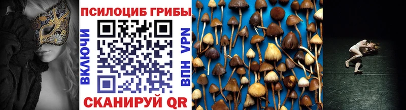 Псилоцибиновые грибы ЛСД  Боровск 